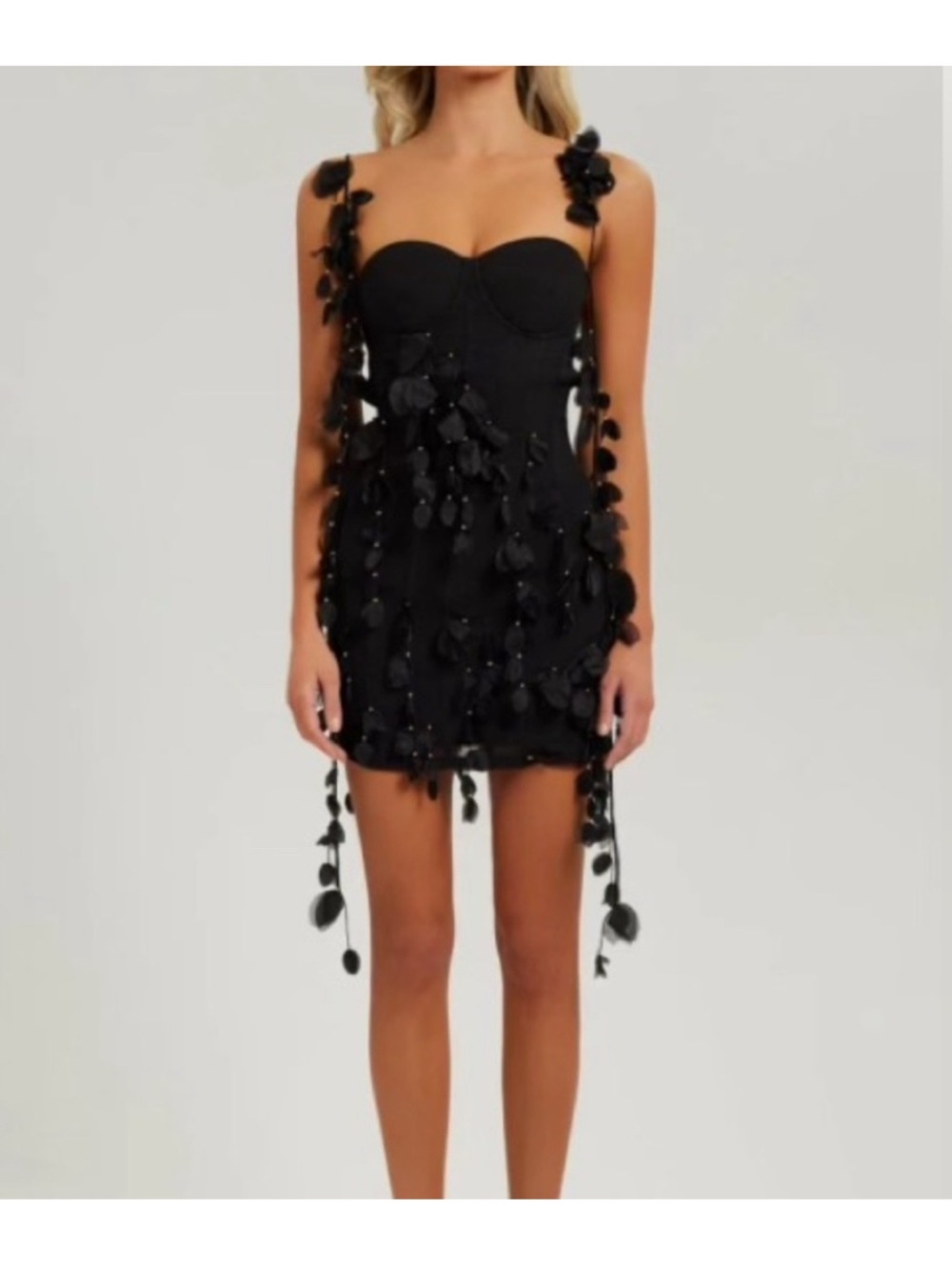 Heiress Beverly Hills dress